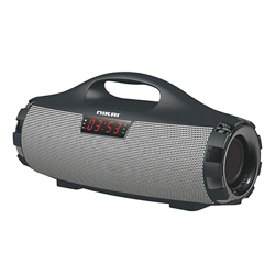 NBTS30-NIKAI-SPEAKER.png