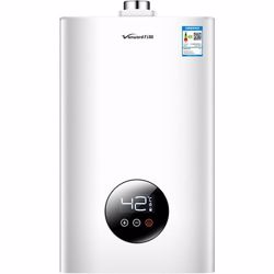 გაზის წყლის გამაცხელებელი Vanward JSG12GT-T42 Silver Vanward