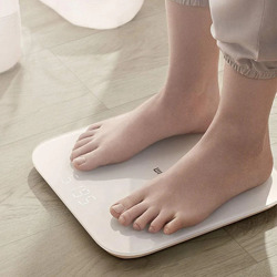 Scale21.jpg